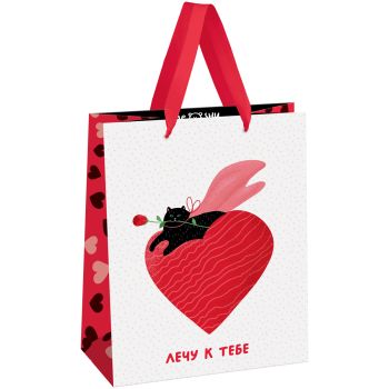 Пакет подарочный 18*23*10см MESHU 